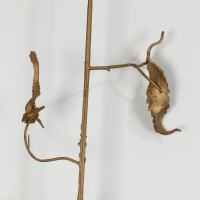 <a href=https://www.galeriegosserez.com/gosserez/artistes/vettier-aurece.html>Aurèce Vettier</a> - bitter hemp